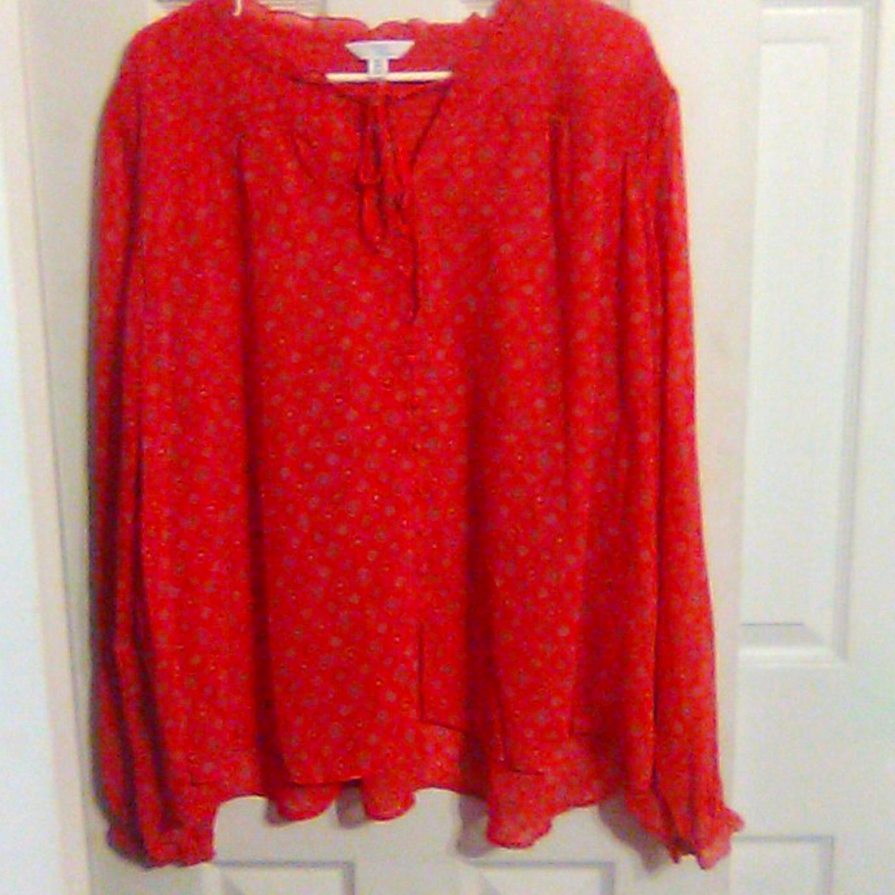 Sheer long sleeve blouse